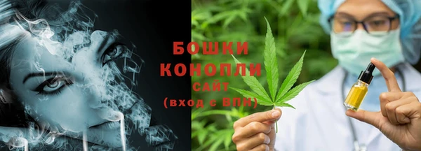шишки Богородск