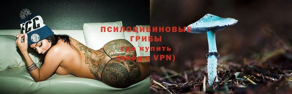 мдпв Богданович