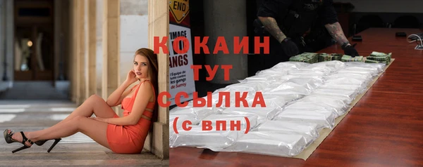 шишки Богородск