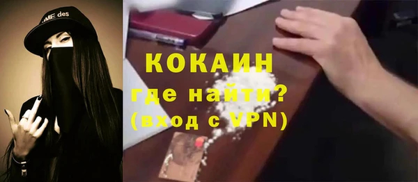 шишки Богородск