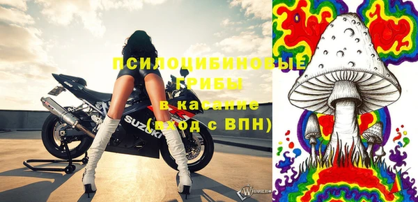 мдпв Богданович