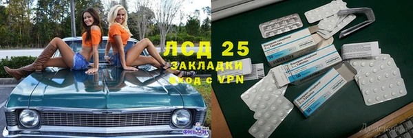мдпв Богданович