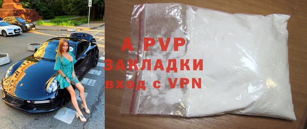 мдпв Богданович