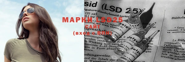 мдпв Богданович